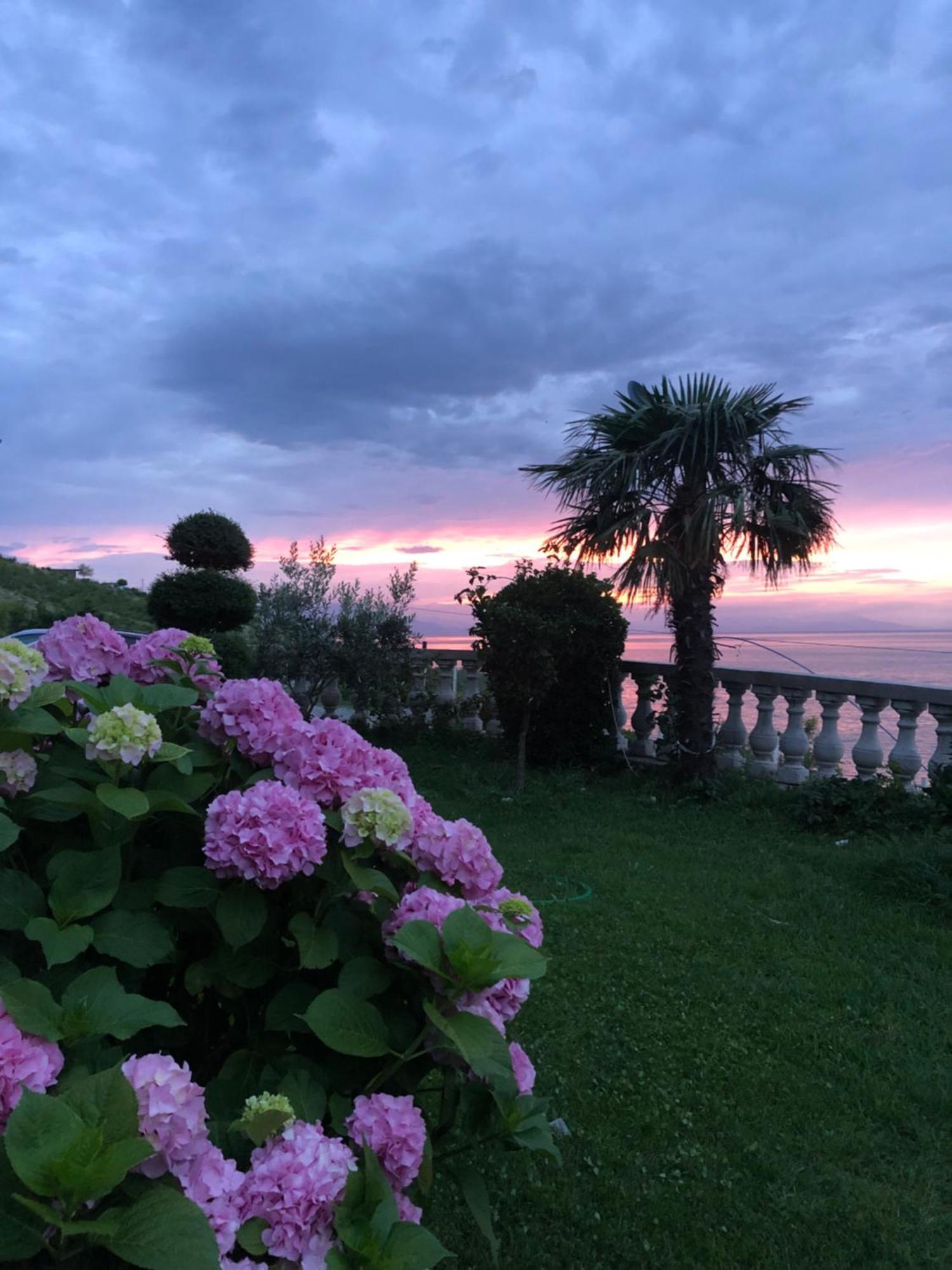 Bella Vista Bed and Breakfast Σκόδρα Εξωτερικό φωτογραφία