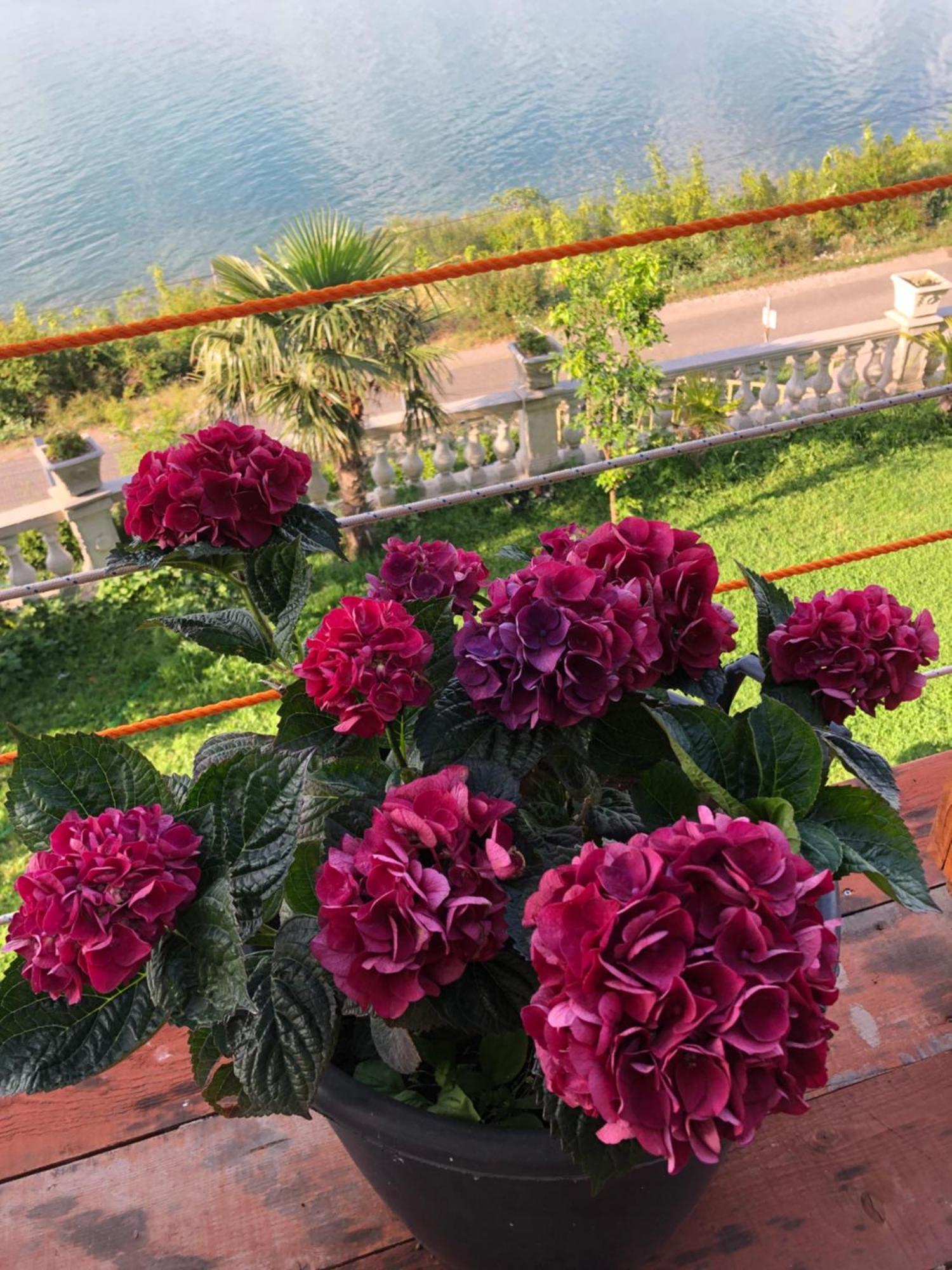 Bella Vista Bed and Breakfast Σκόδρα Εξωτερικό φωτογραφία